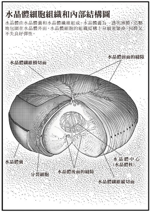 動物也有話說_10.jpg