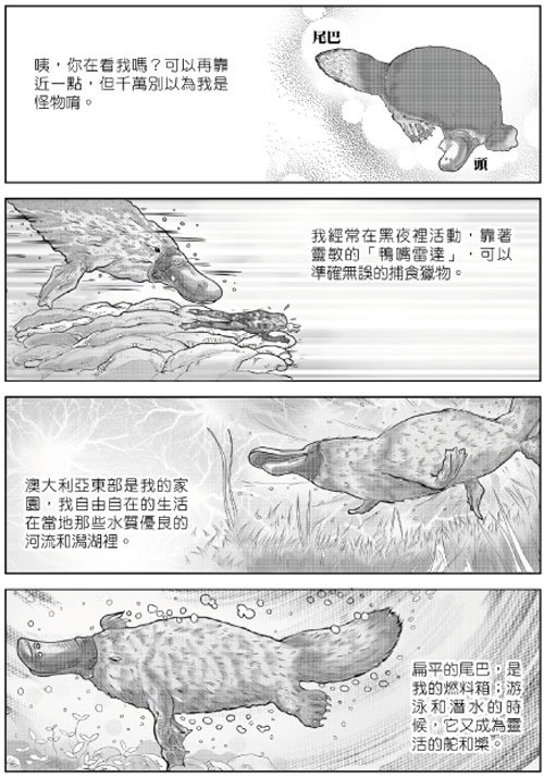 動物也有話說_3.jpg