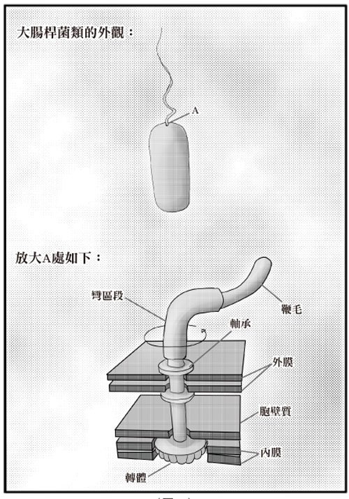 動物也有話說_12.jpg