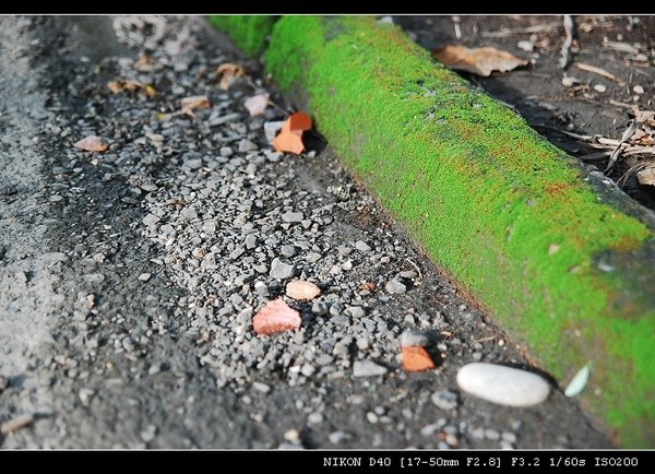 DSC_0100.jpg