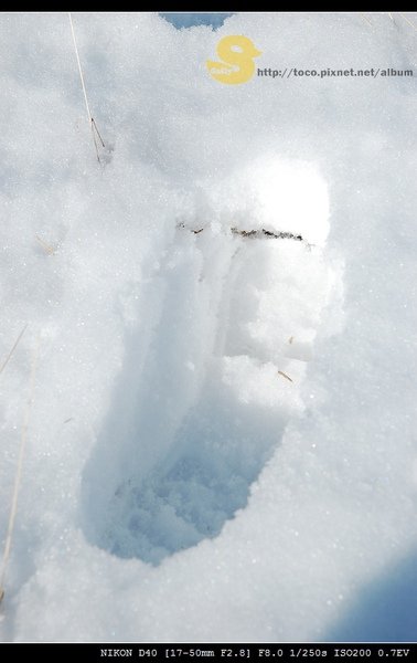 積雪不淺唷