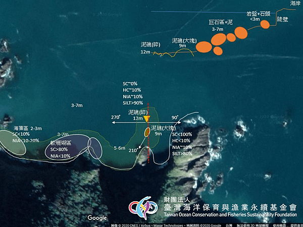 2020.07.01 東澳栽培漁業區 馬糞海膽生態放流3.png