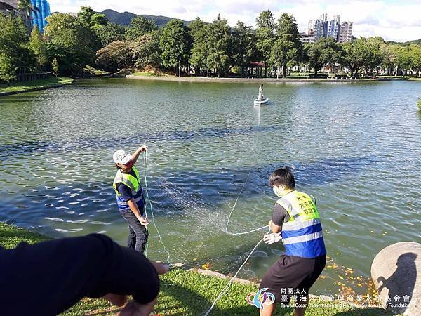 【活動紀錄】2021.09.24 台北市區琵琶鼠魚大型移除行動 (5).jpg