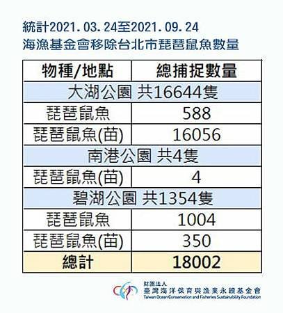 【活動紀錄】2021.09.24 台北市區琵琶鼠魚大型移除行動 (3).jpg