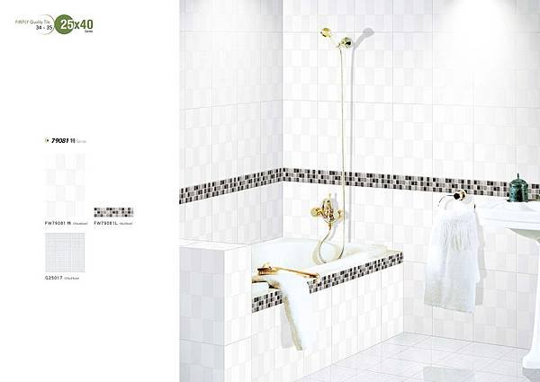 FW79081