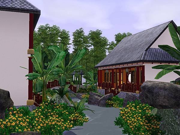 蕉葉襯托著院子的金色菊花.jpg