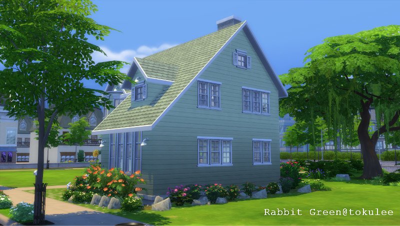 rabbit green-big5.jpg