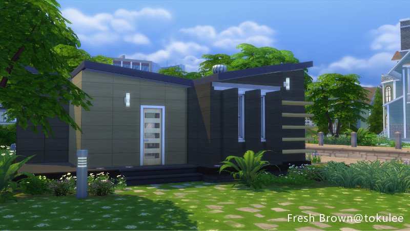 fresh brown-006.jpg