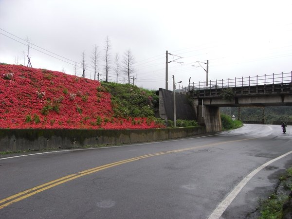 再度和鐵路交會.JPG