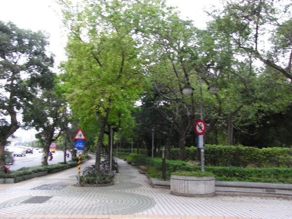 大安森林公園.JPG