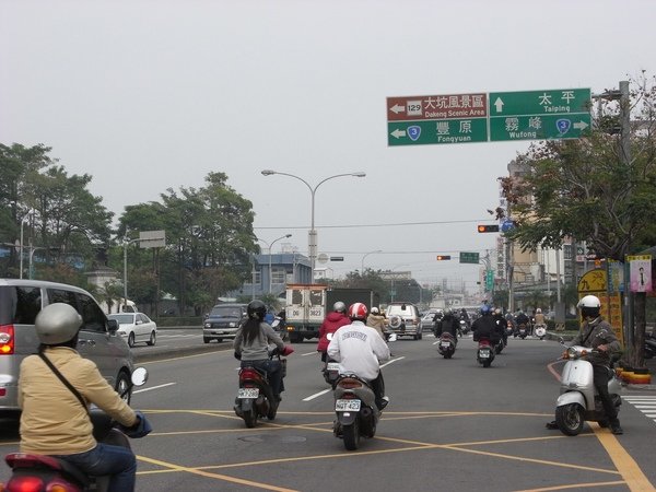 進化路又到了.JPG