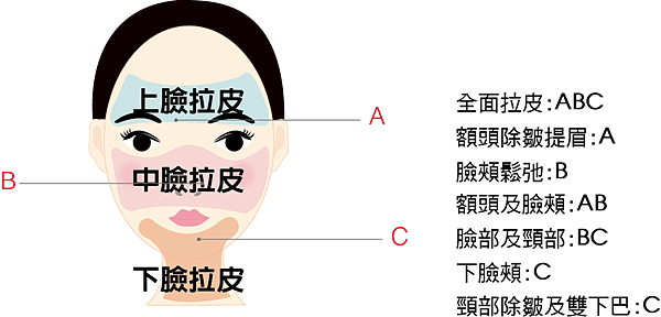 拉皮範圍