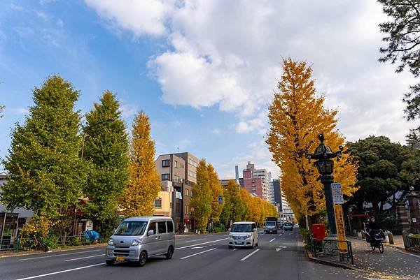蠶絲馬橋秋景7.jpg