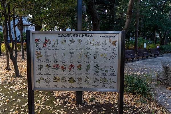 蠶絲馬橋秋景9.jpg