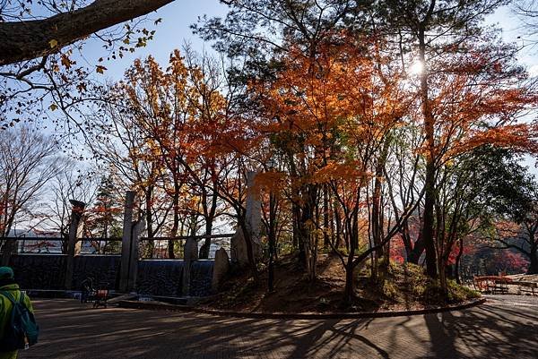 蠶絲馬橋秋景11.jpg