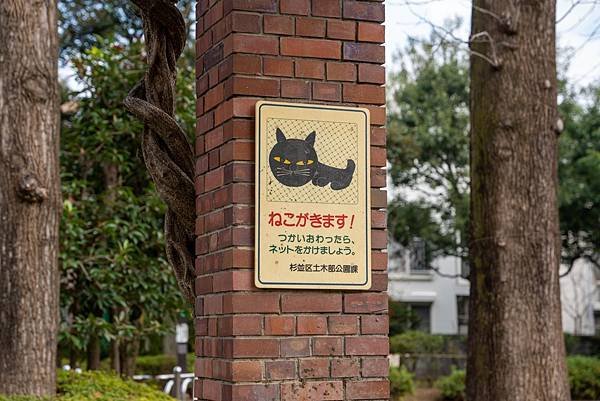 蠶絲馬橋秋景17.jpg