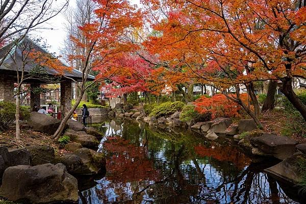 蠶絲馬橋秋景16.jpg