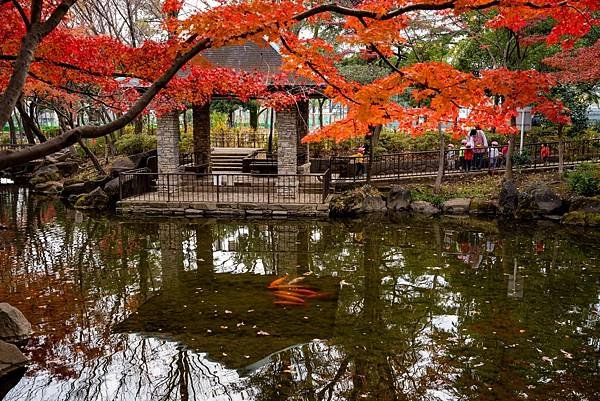 蠶絲馬橋秋景19.jpg