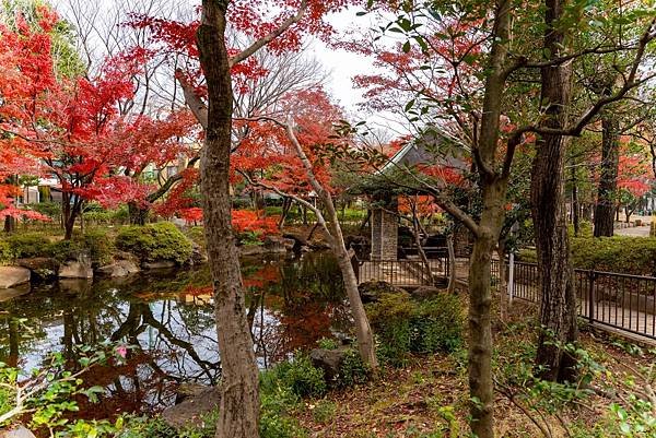 蠶絲馬橋秋景20.jpg