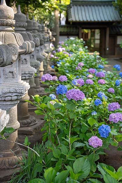 妙法寺1.jpg