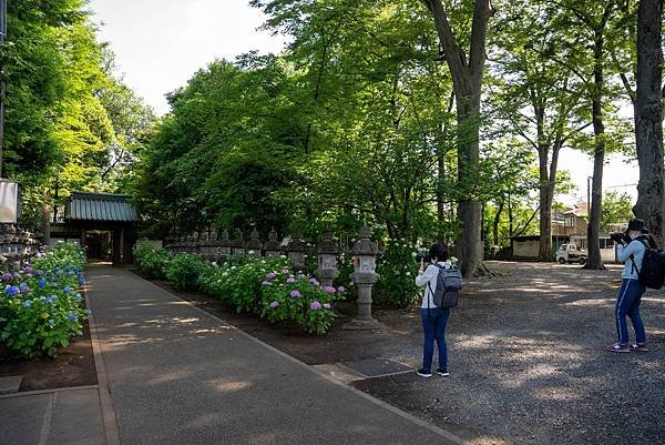 妙法寺10.jpg