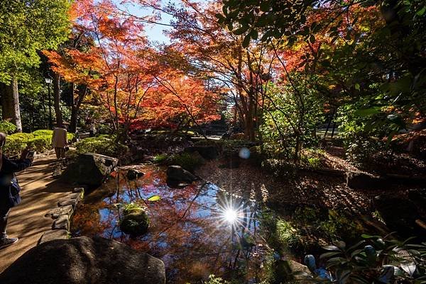 大田黒公園2.jpg