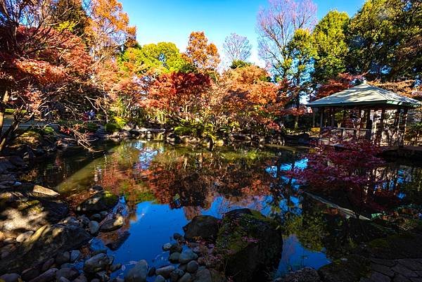 大田黒公園1.jpg