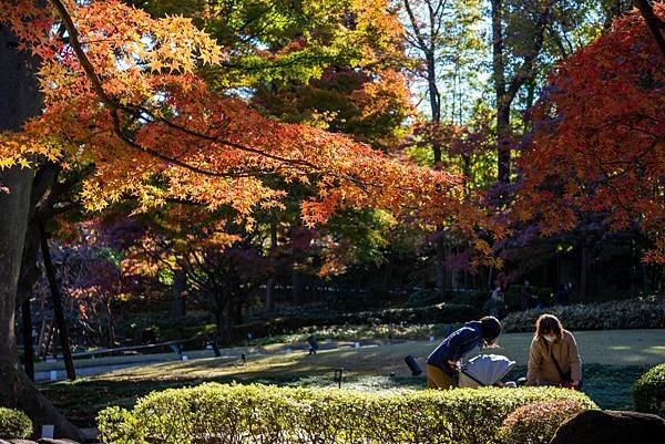 大田黒公園4.jpg