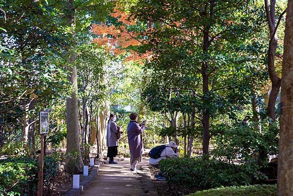 大田黒公園8.jpg