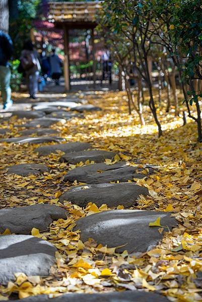 大田黒公園14.jpg