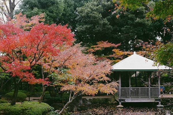 大田黑公園3.jpg