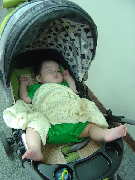 鴻AME990818_1.JPG