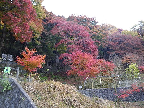 IMGP2728.JPG