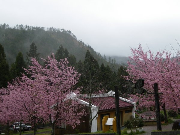 IMGP1312.JPG