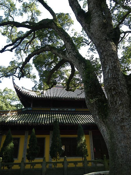 IMGP1863.JPG