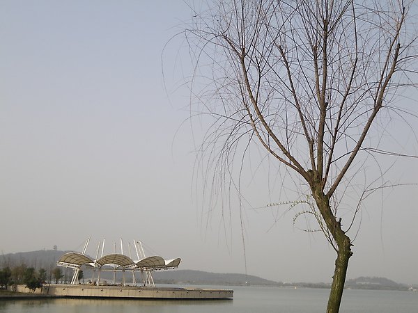 IMGP3267.JPG