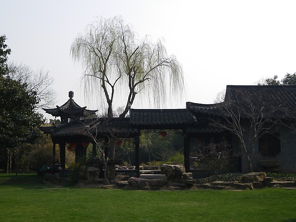 IMGP3323.JPG