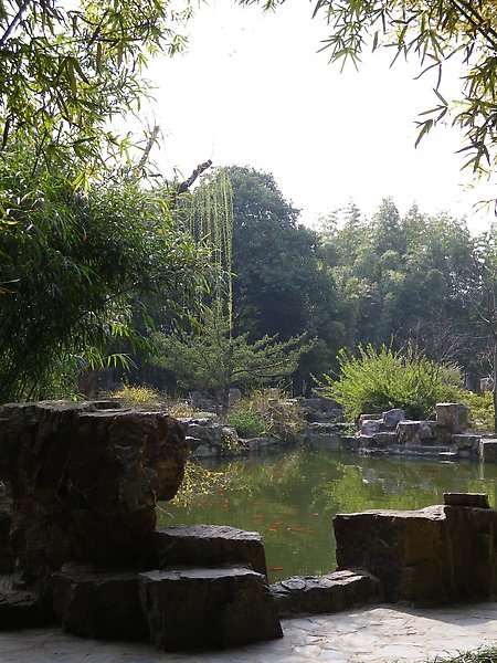 IMGP3326.JPG