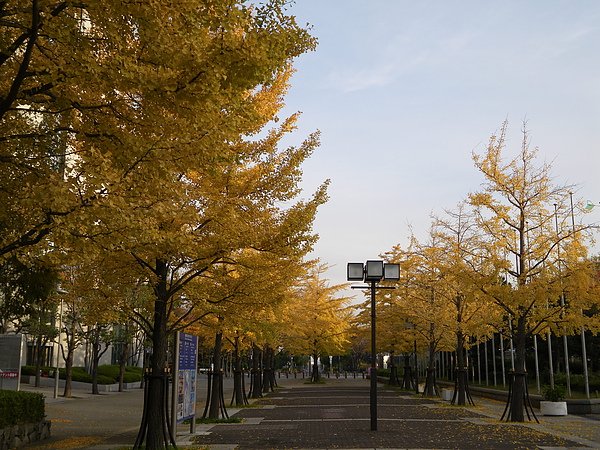 IMGP2697.JPG