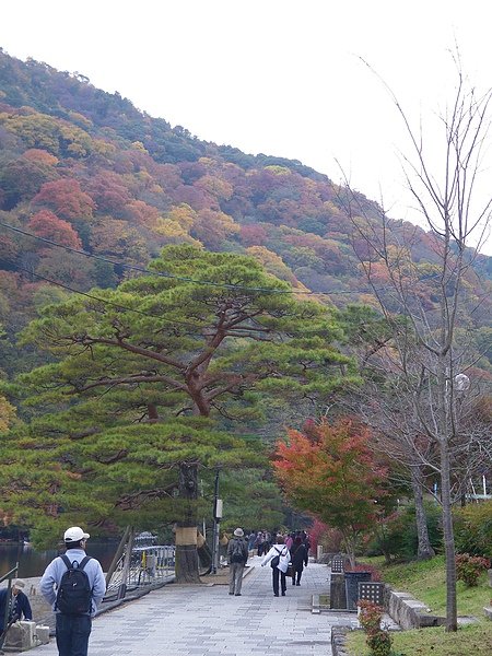 IMGP2230.JPG