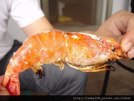 釣蝦場太恐怖啦~~~