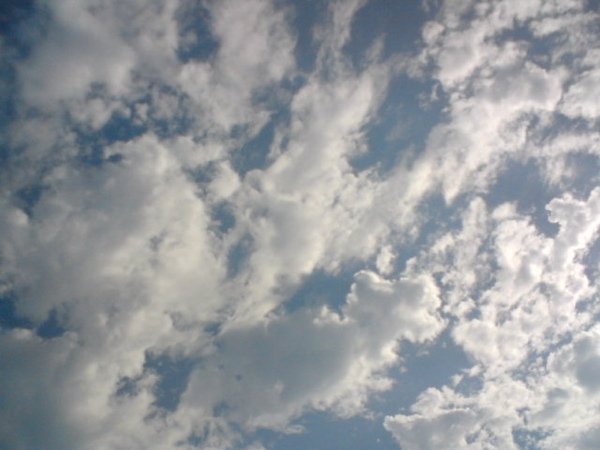 DSC00089.JPG