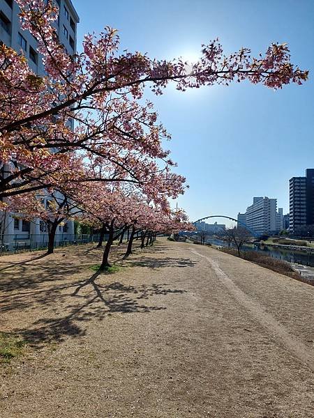 2024春 獨旅東京舞台劇行 Day1-3 (東京近郊)舊中