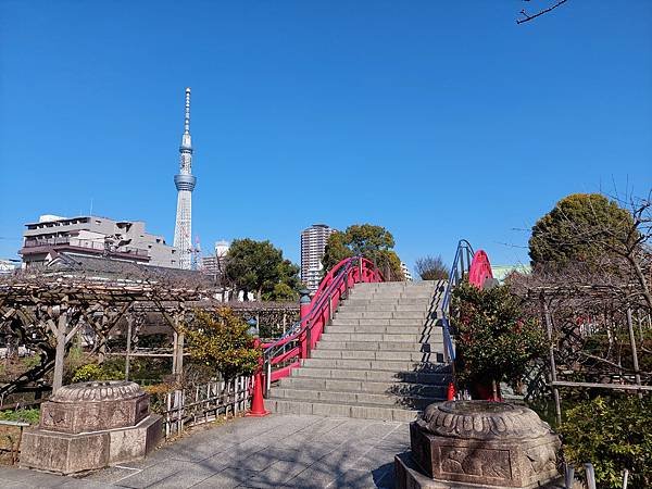 2024春 獨旅東京舞台劇行 Day1-4 可以欣賞到晴空塔