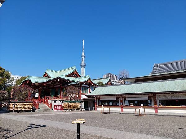 2024春 獨旅東京舞台劇行 Day1-4 可以欣賞到晴空塔