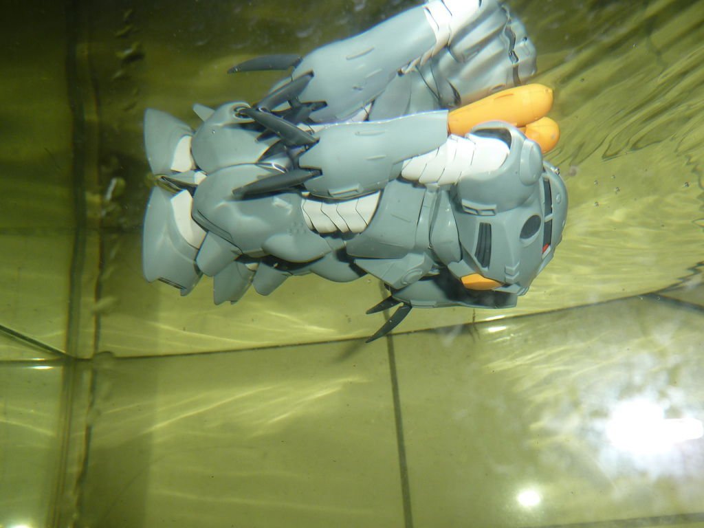 P1110879.JPG