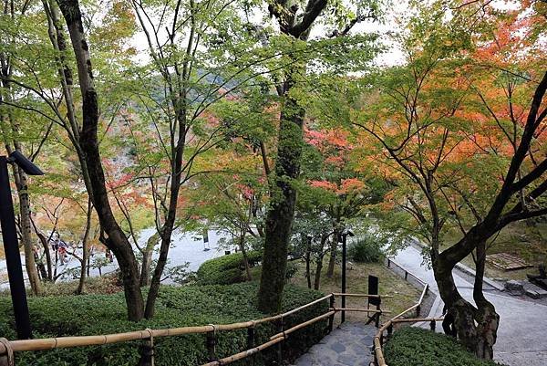 宇治 平等院24.JPG