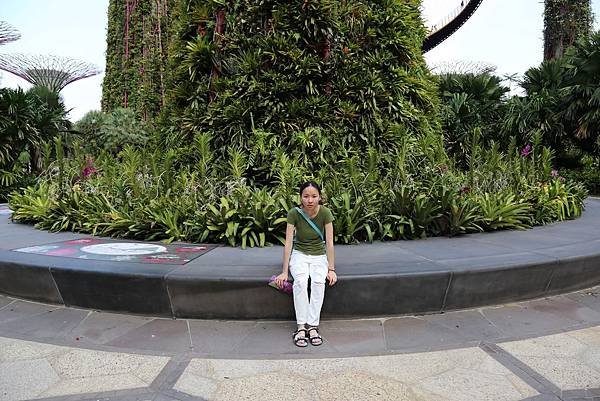 新加坡濱海灣花園1.JPG