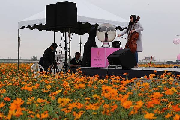 雲林花海節16.JPG