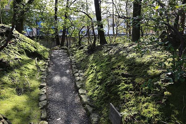 養浩館庭園13.JPG